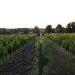 Clos De La Bruyère