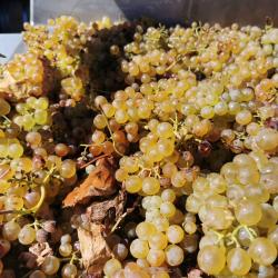 Clos Ornasca