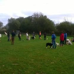 Club Canin Rennes Cesson