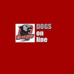 Club De Hockey Choletais