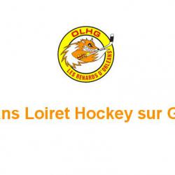 Club De Hockey Orleans Loiret