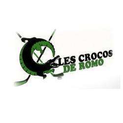 Club De Hockey Romorantin