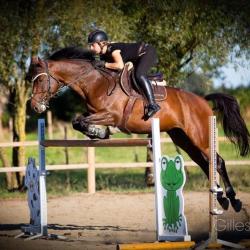 Club Hippique De La Louge