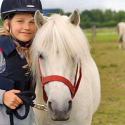 Club Hippique De Vilvert