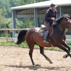 Club Hippique Du Haras De Tigran