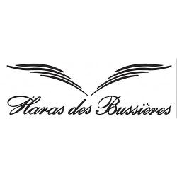 Haras Des Bussieres