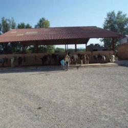 Club Hippique Le Nagra
