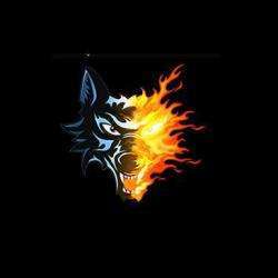 Club Hockey Grenoble Brûleurs De Loups