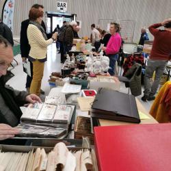 Club Multi-collections Castelnau-le-lez