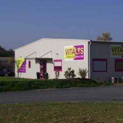 Club Vitalys