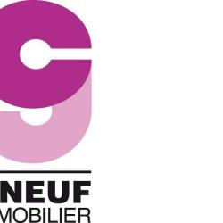 Cneuf Immobilier