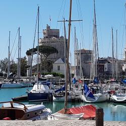 Cneuf Immobilier