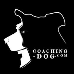 Coaching Dog - Sylvain Lemoussu