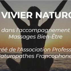 Fabrice Vivier