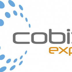 Cobiz Expert