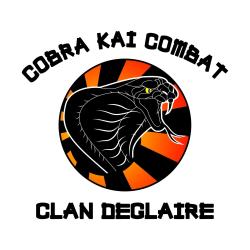 Cobra Kai Combat