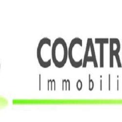 Cocatrix Immobilier