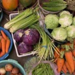 Cocci Market