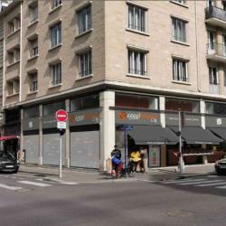 Coccimarket City