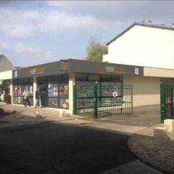 Coccimarket