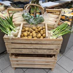 Coccimarket