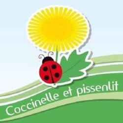Coccinelle Et Pissenlit