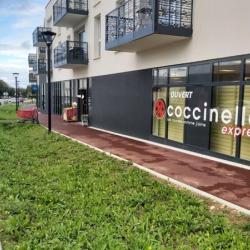 Coccinelle Express