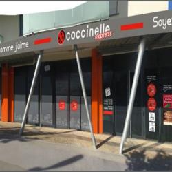 Coccinelle Express