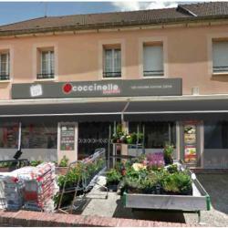 Coccinelle Express