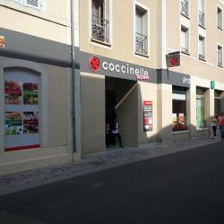 Coccinelle Express