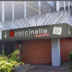 Coccinelle Express