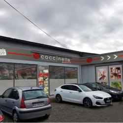 Coccinelle Express