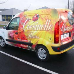 Coccinelle