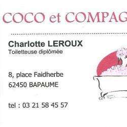 Coco Et Compagnie