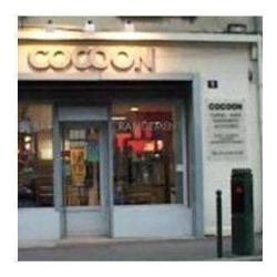 Cocoon International