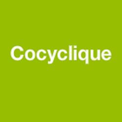 Cocyclique