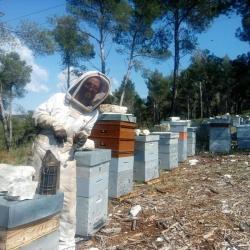 Coeur D'abeilles