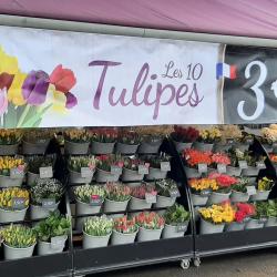 Coeur De Fleurs