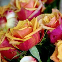 Cœur De Fleurs
