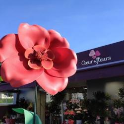 Coeur De Fleurs