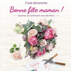 Monceau Fleurs