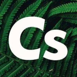 Cofy Shop