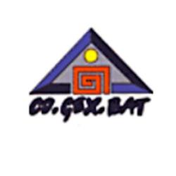Co.gex.bat