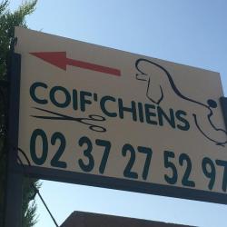 Coif'chiens