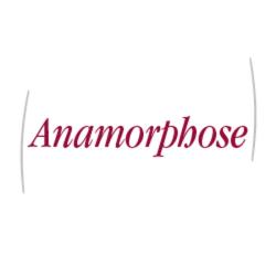 Coiffure Anamorphose