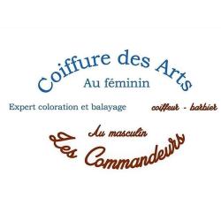 Coiffure Des Arts
