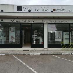 Viva La Vie By Imagin'hair
