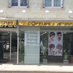 Coiffure L'hérisson