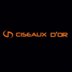 Coiffure Vision