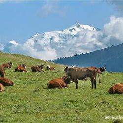 Col Des Aravis